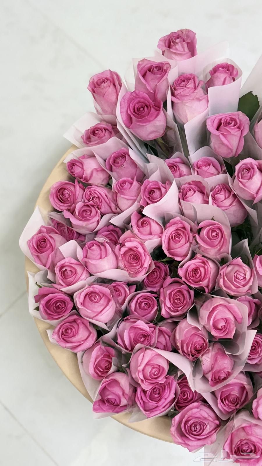 ورد طبيعي جمله . يوجد توزيعات بسعر الجمله64475890045058111