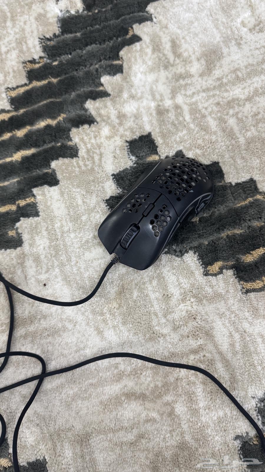 Gloris Mouse64474665855491110