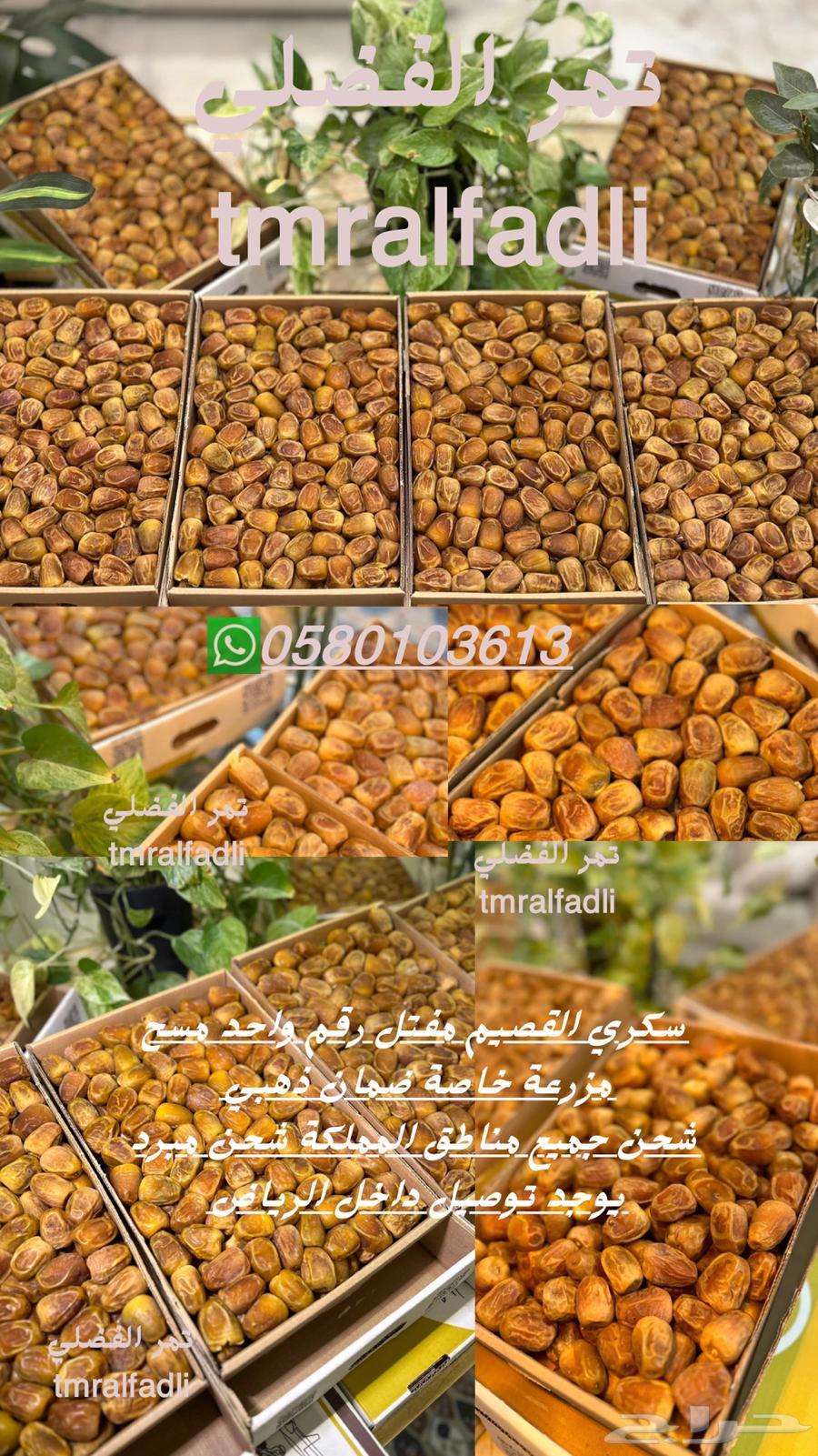 سكري القصيم من المزرعة مباشرة رقم واحد حبه كبيرة مميز64478388708099110