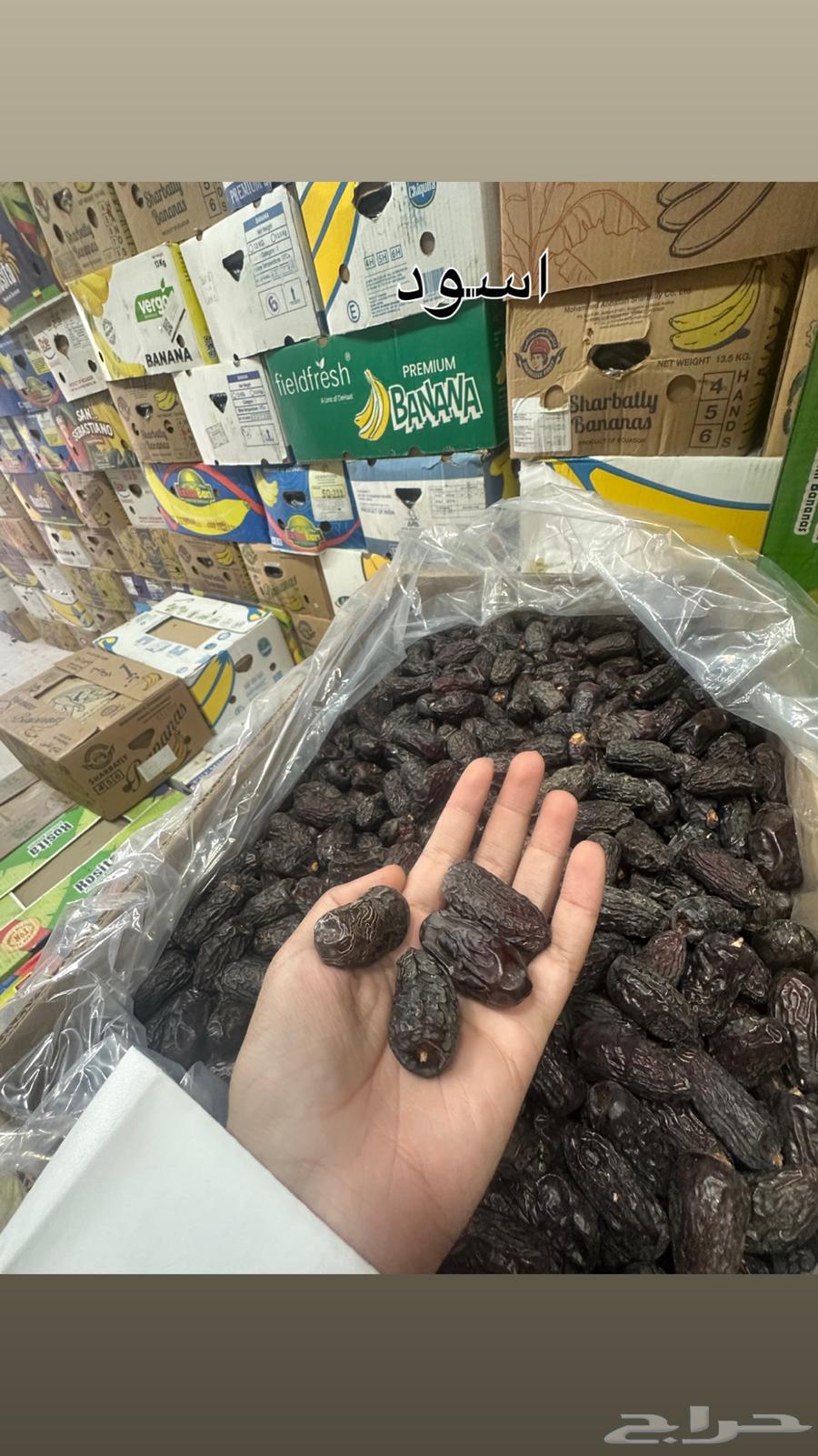 صفاوي للبيع جملة انتاج هذه السنة 1447 هجري64472352643585110