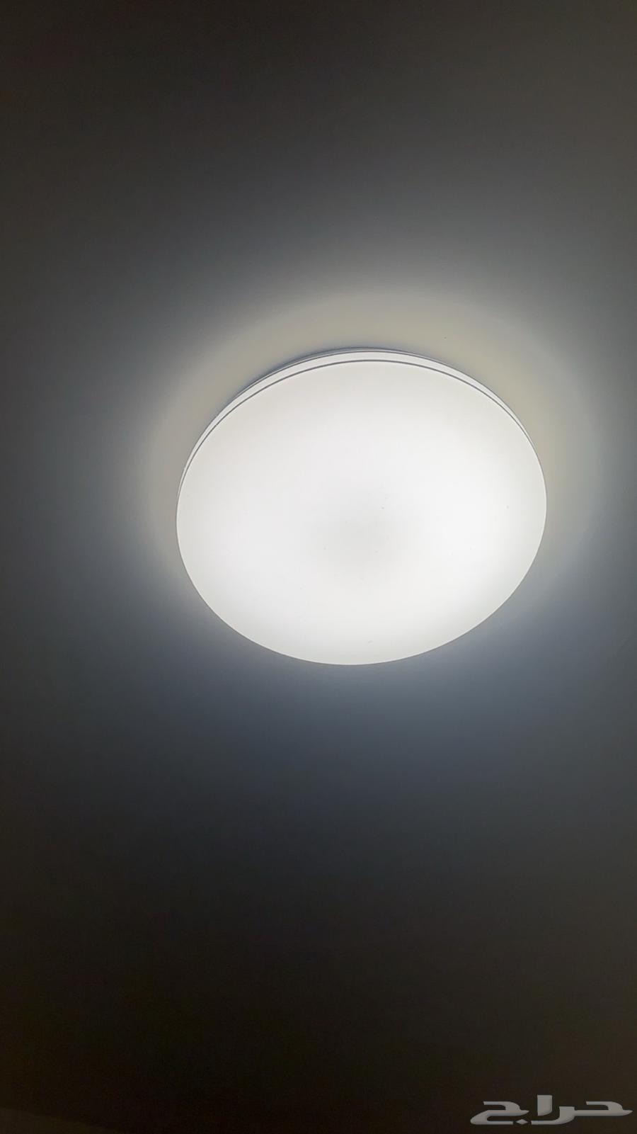 Light bulb for sale64478484861569111