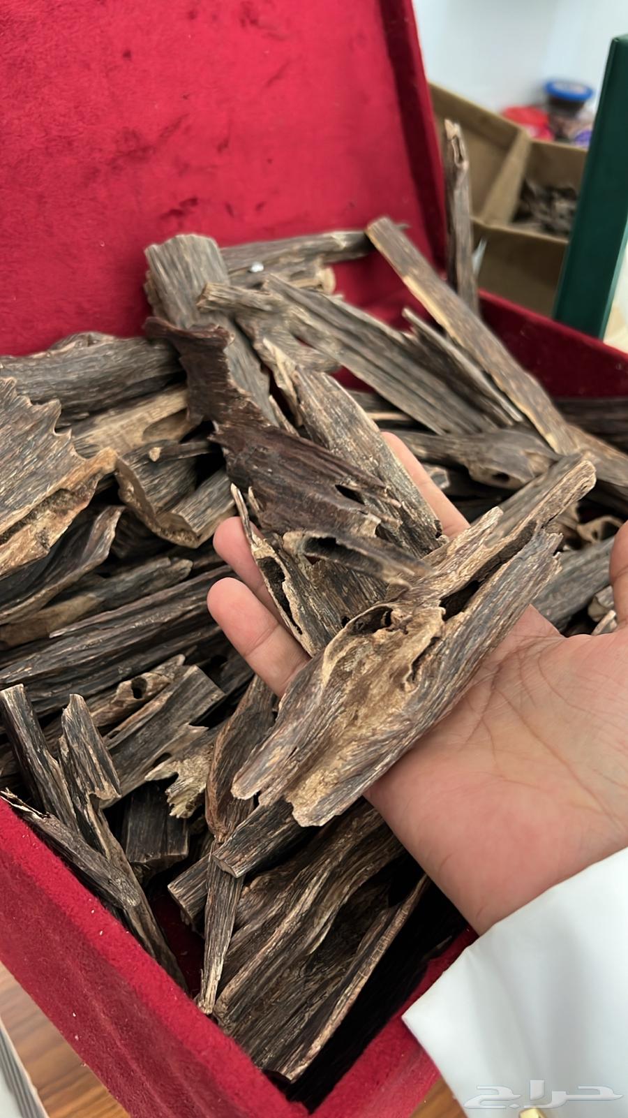 عود هندي طبيعي64478292835329110