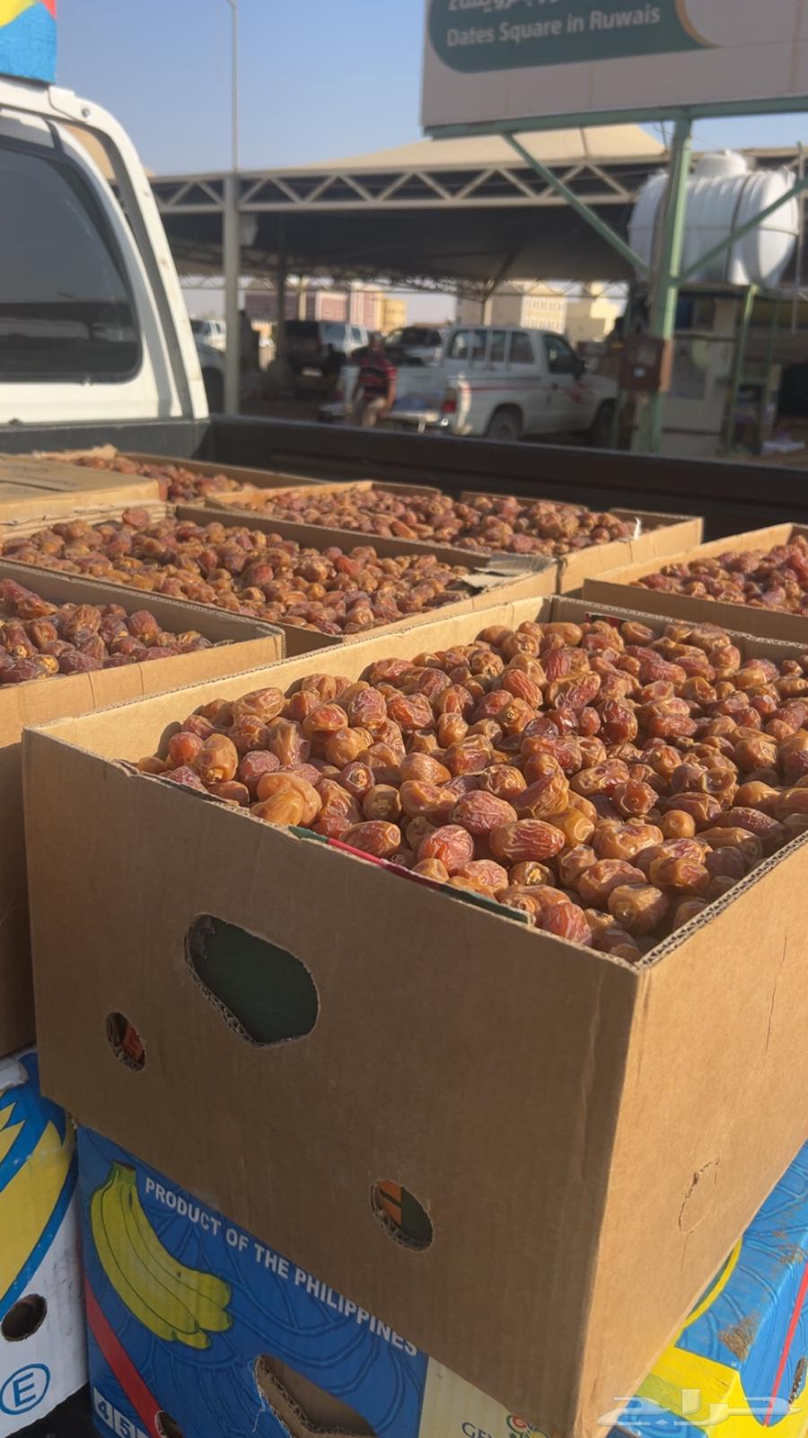 تمر خلاص وادي حبه طيبه64475612067457110