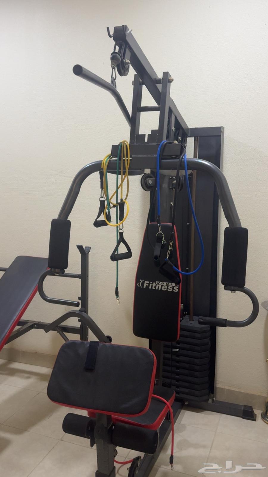 Exercise Iron64475335391619110