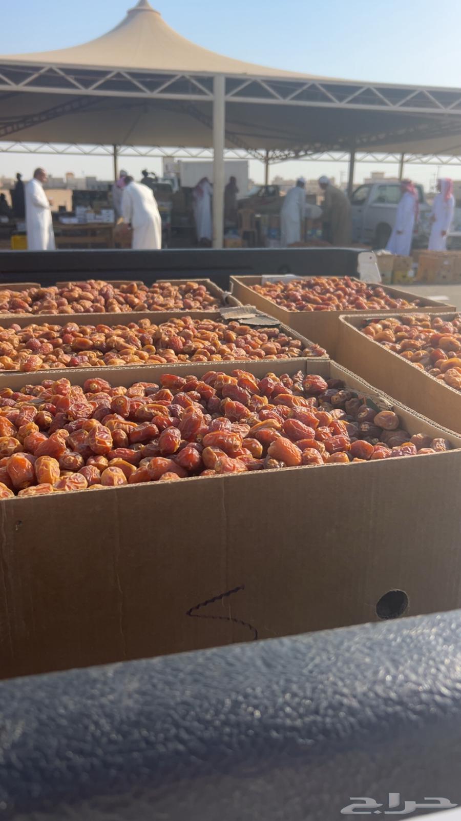 تمر خلاص وادي حبه طيبه64475612067457111