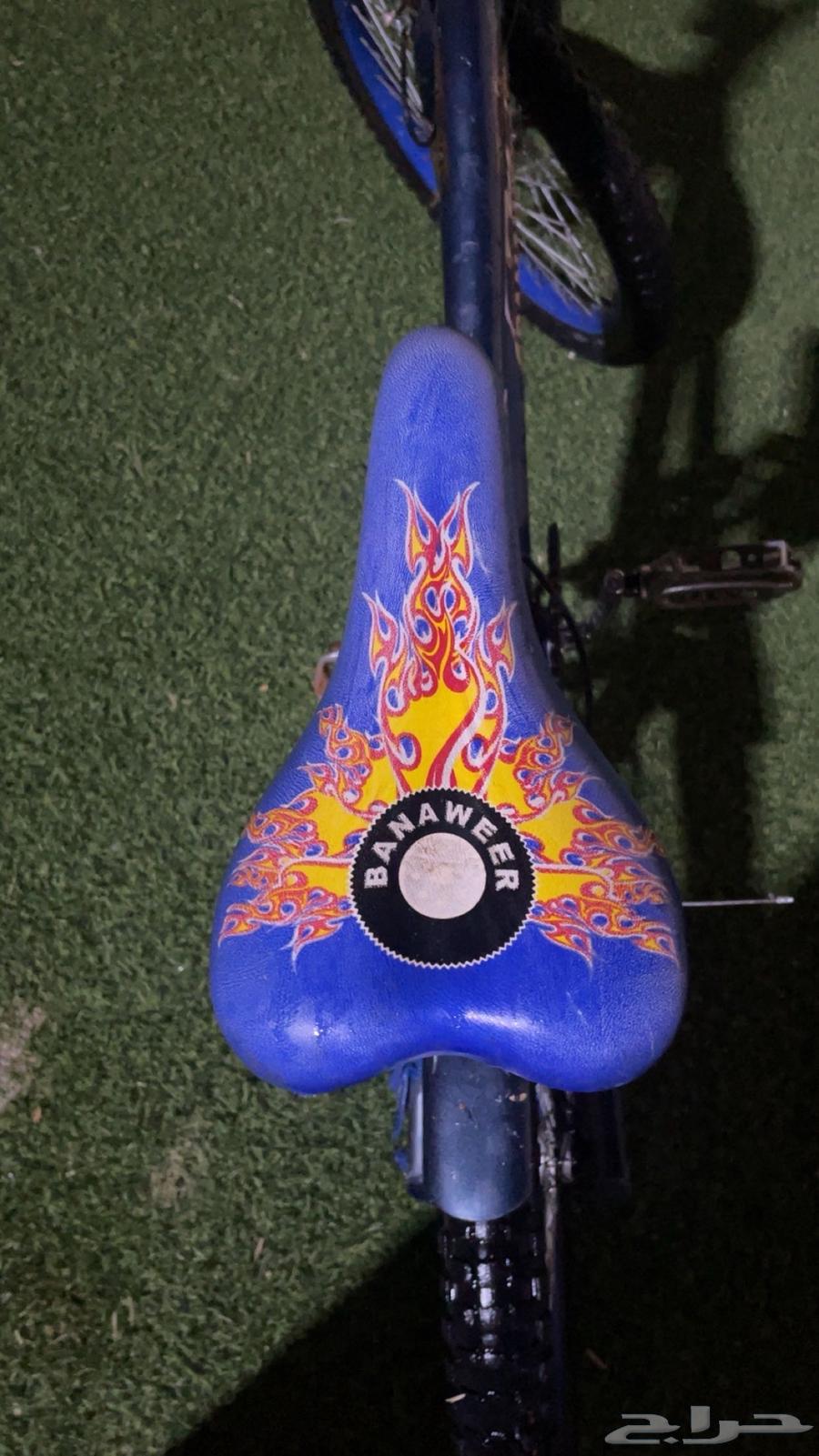 Nice Cobra Cycle64475253312259112