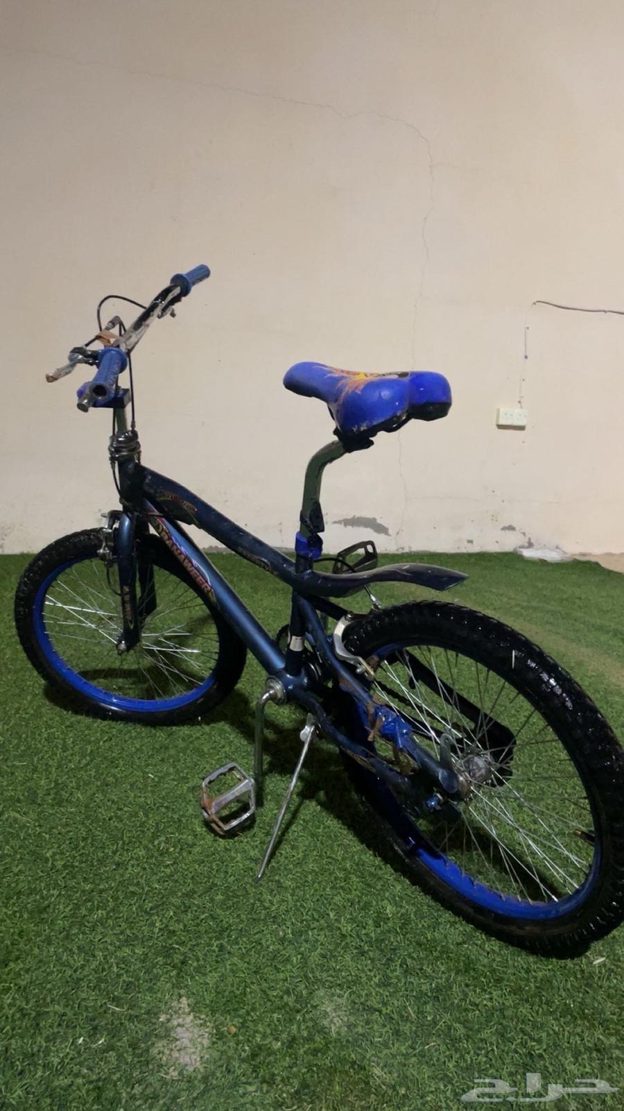 Nice Cobra Cycle64475253312259110