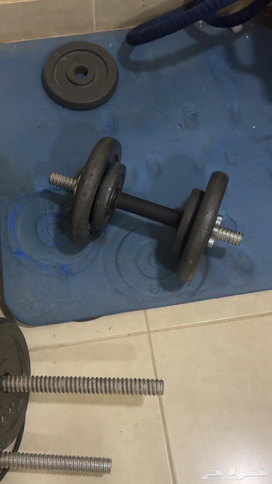 Exercise Iron64475335391619112