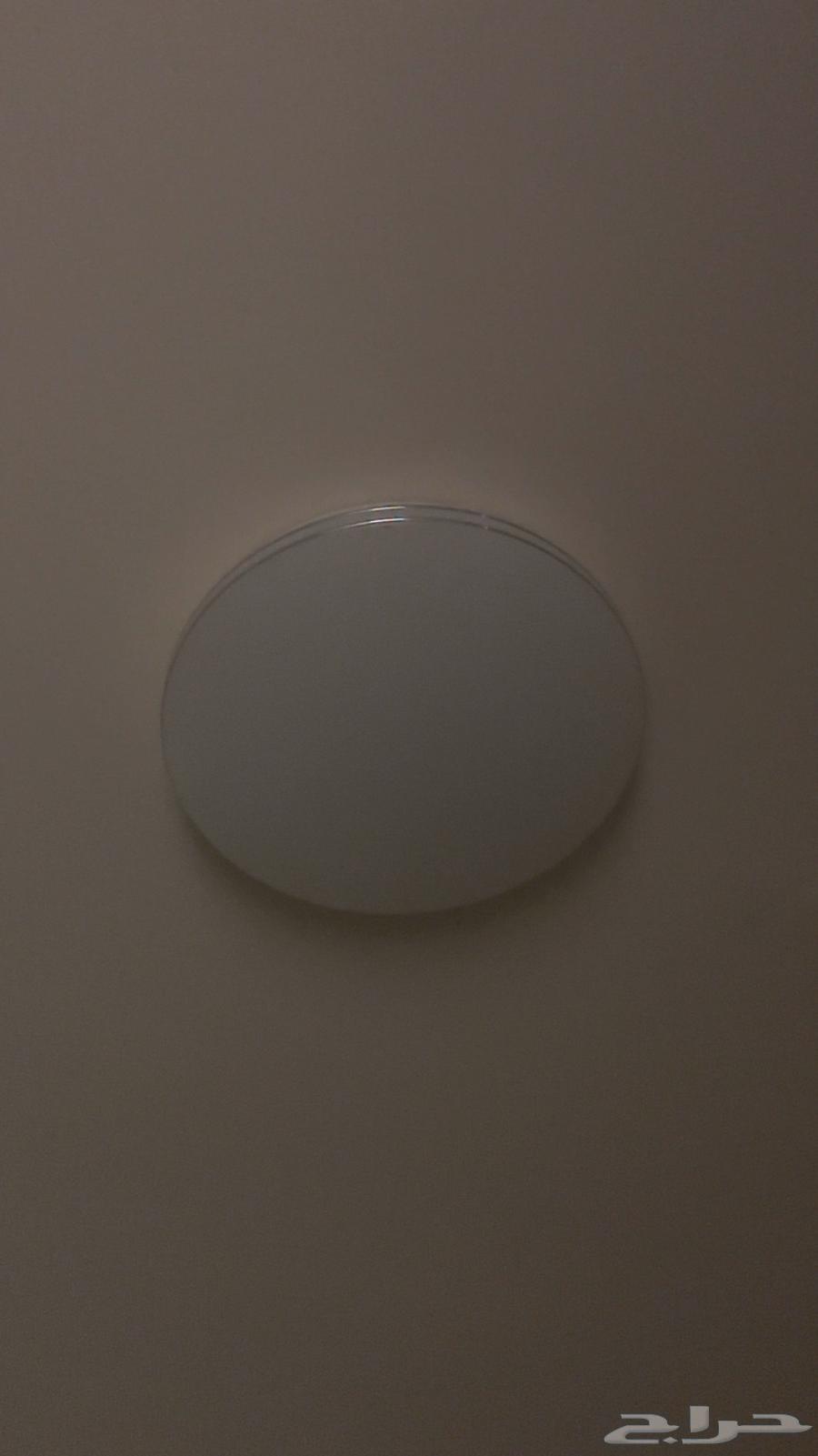 Light bulb for sale64478484861569110