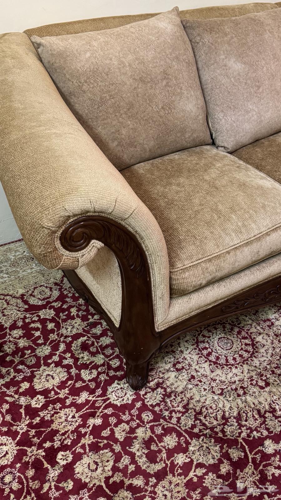 Single Sofa64476866294786110