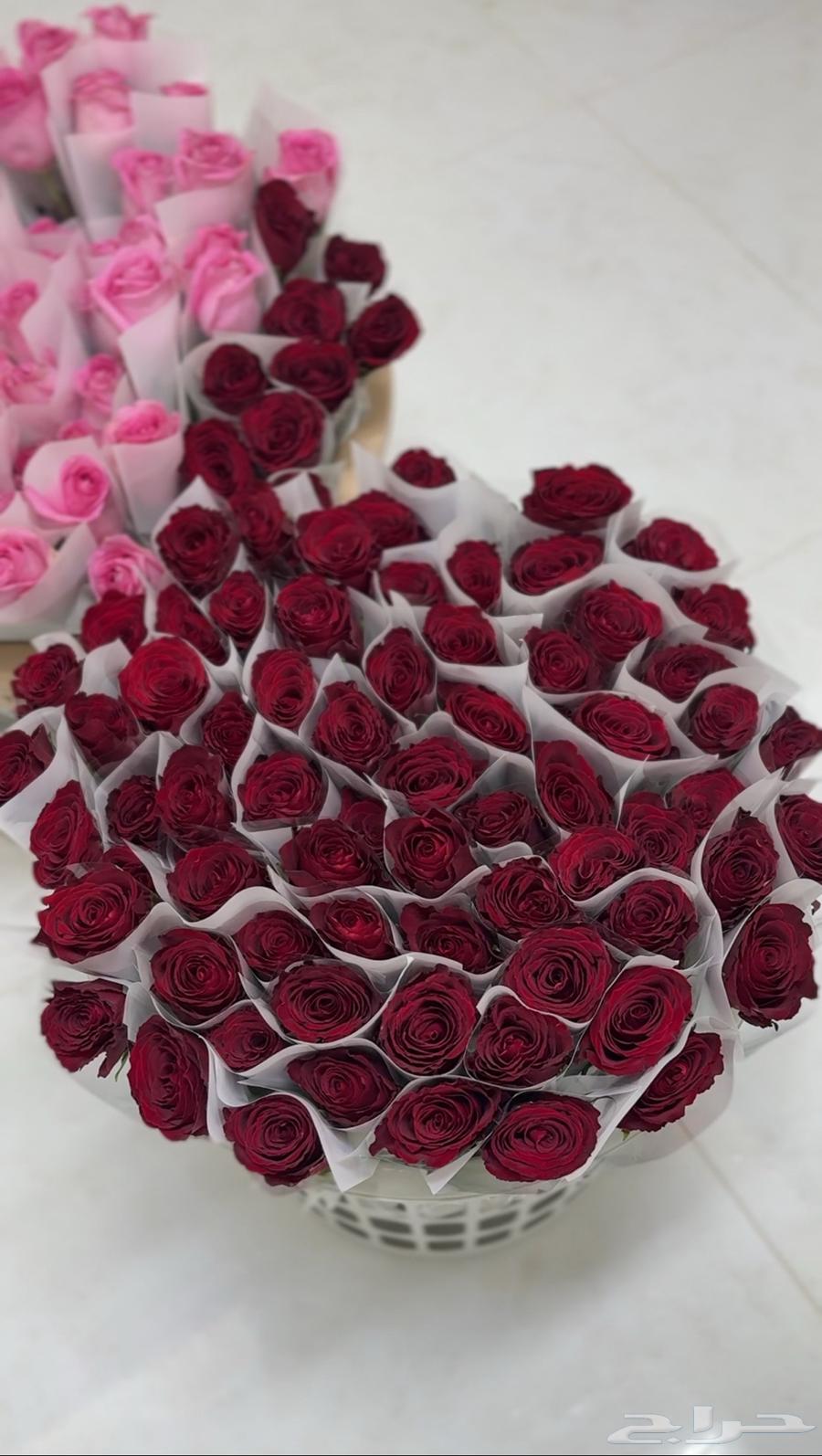 ورد طبيعي جمله . يوجد توزيعات بسعر الجمله64475890045058114