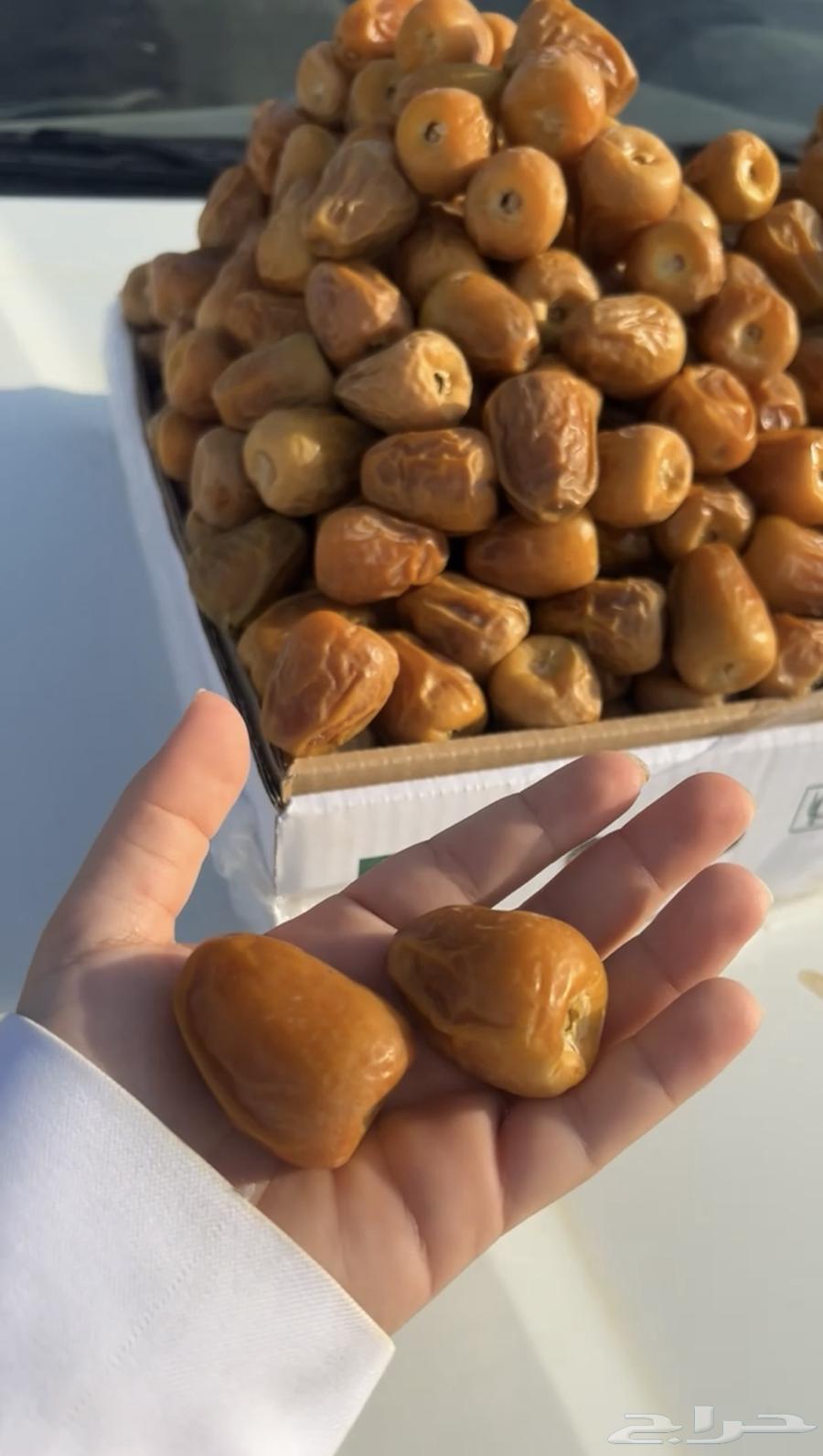 Tamr Al-Qassim64473317946627112