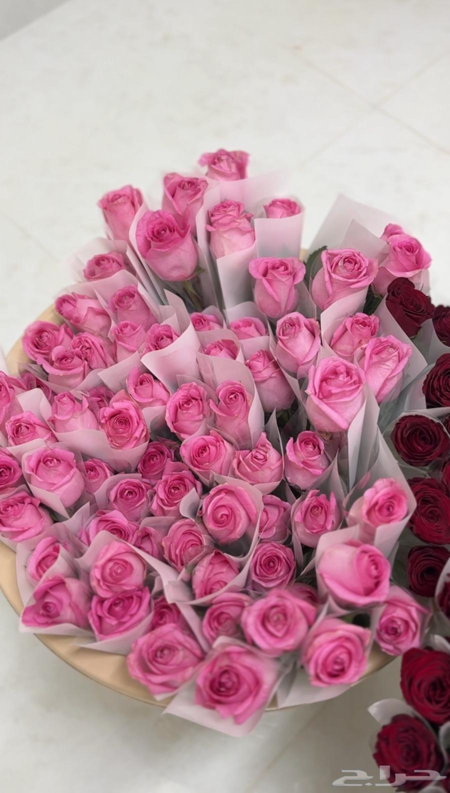 ورد طبيعي جمله . يوجد توزيعات بسعر الجمله64475890045058113