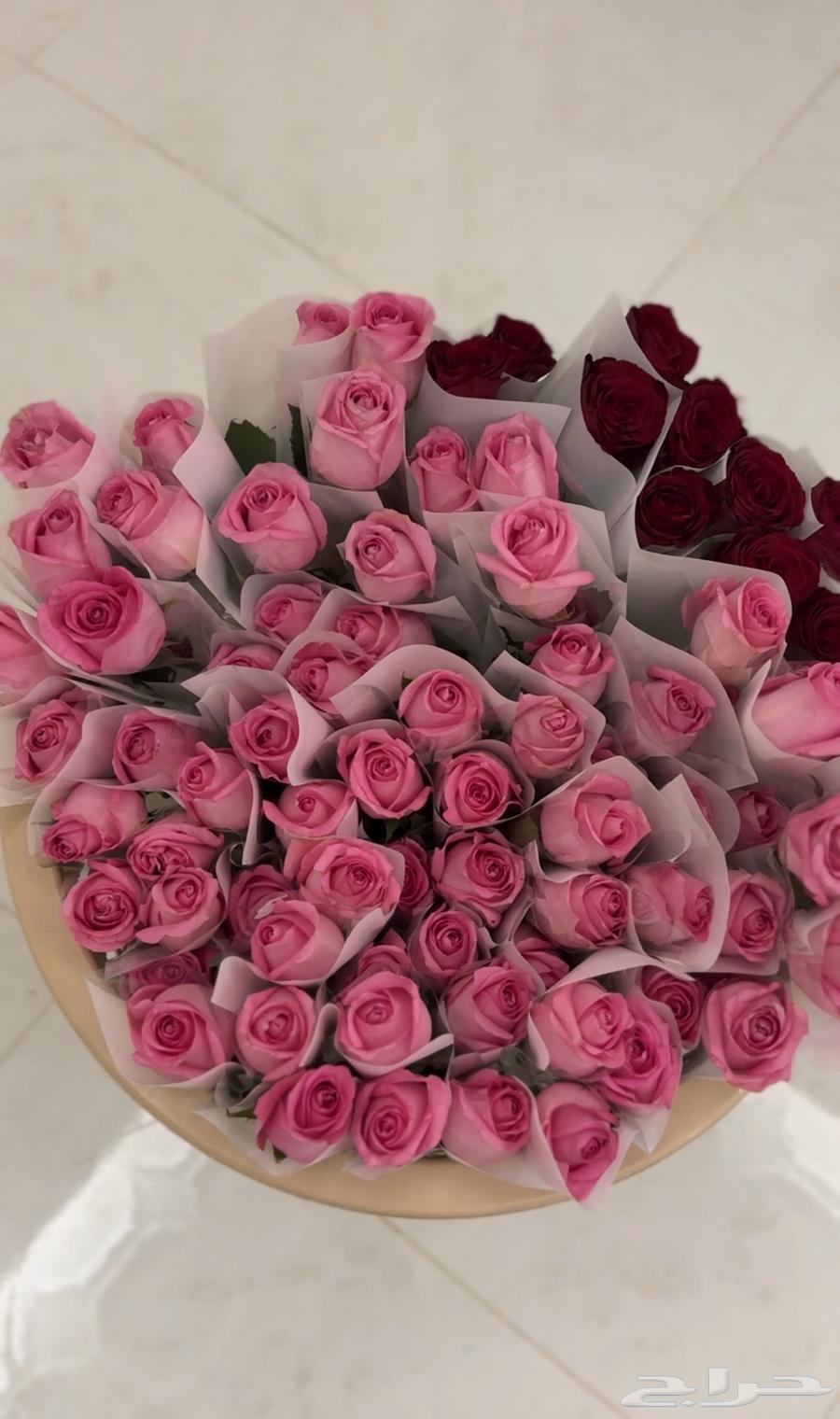 ورد طبيعي جمله . يوجد توزيعات بسعر الجمله64475890045058110