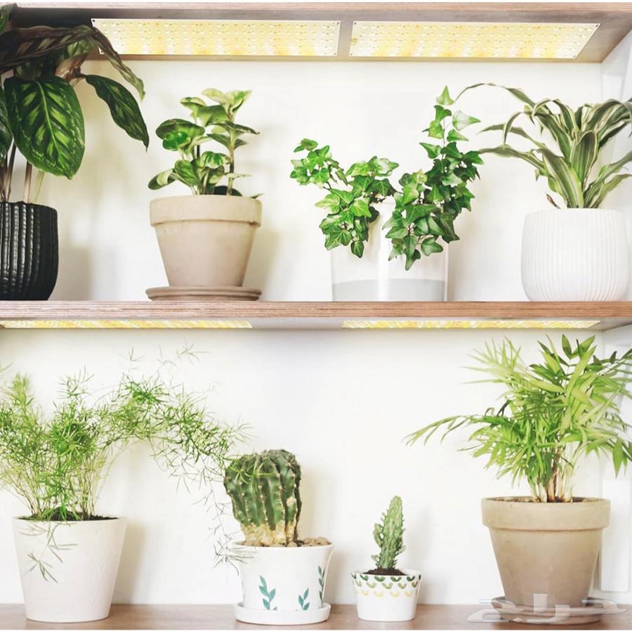 2 Custom Lighting Panels for Agriculture and Fish Tanks64477282939907112