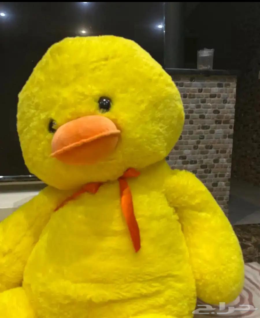 دبدوب من البحرين للبيع مافيه اي وصاخه ابدا64476531215746111