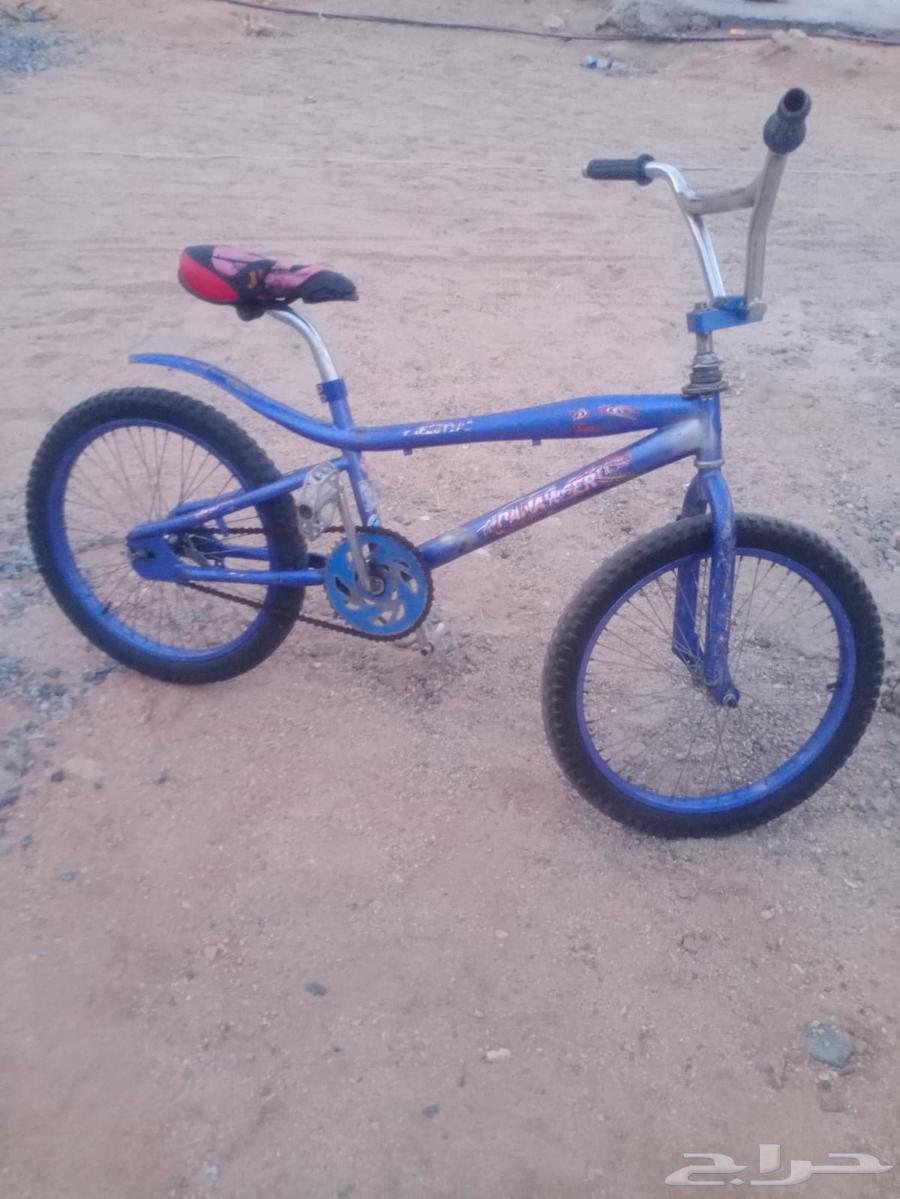 Cobra bike size 2064473822071809112