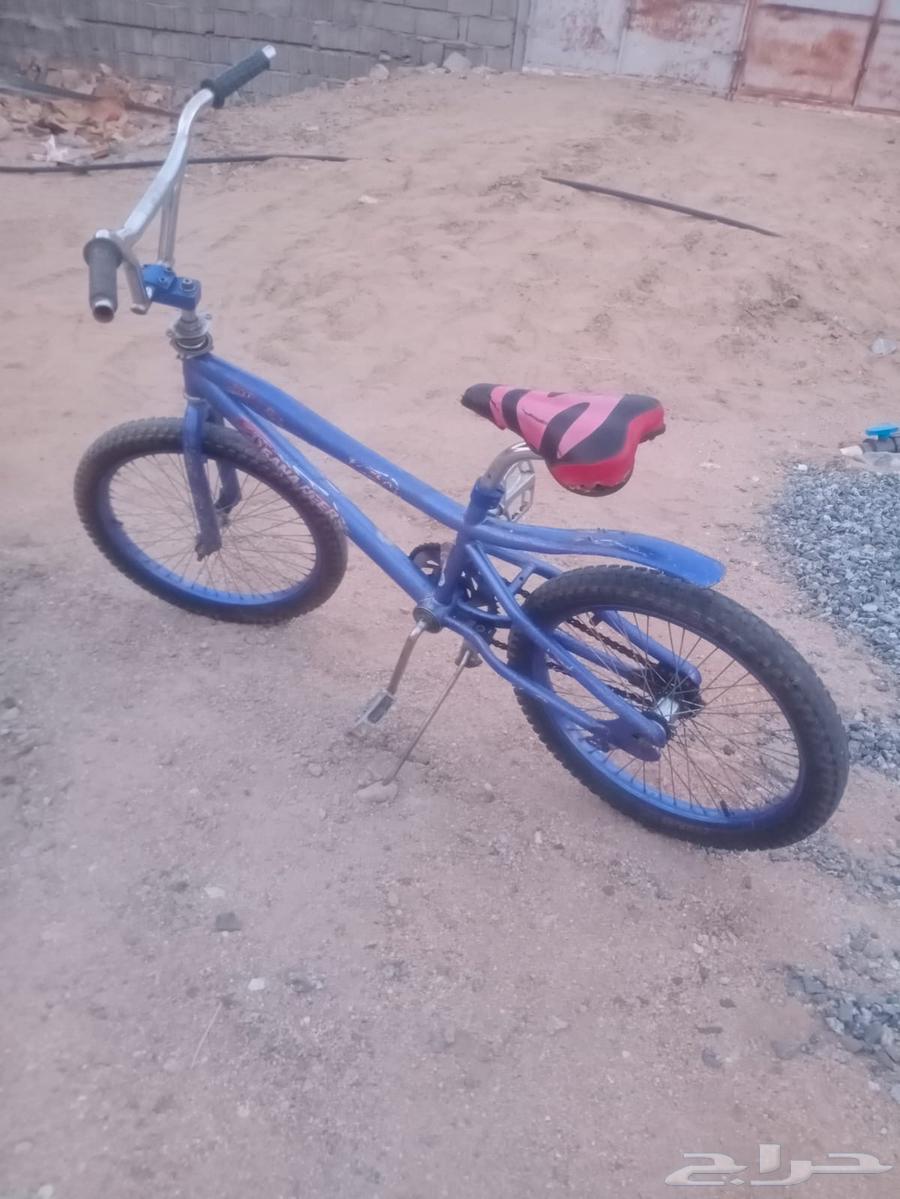 Cobra bike size 2064473822071809111