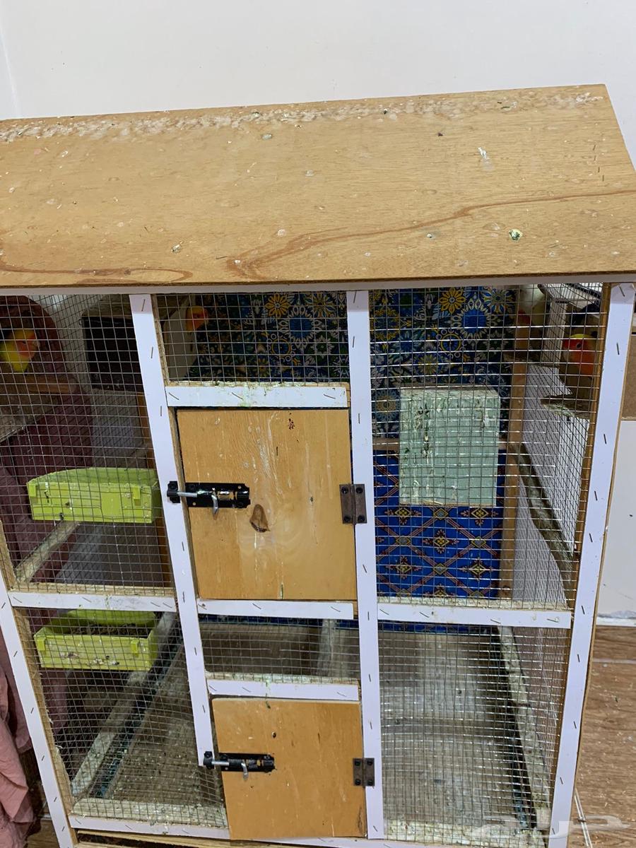 قفص طيور للبيع64477714048257110