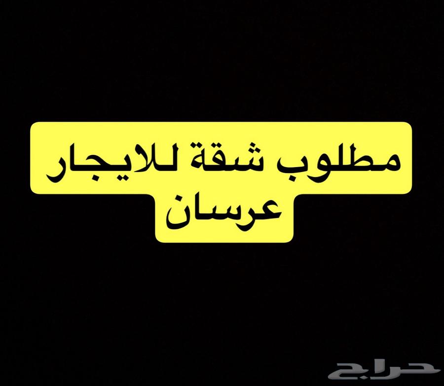 مطلوب شقة للايجار بشكل عاجل64142983694465110