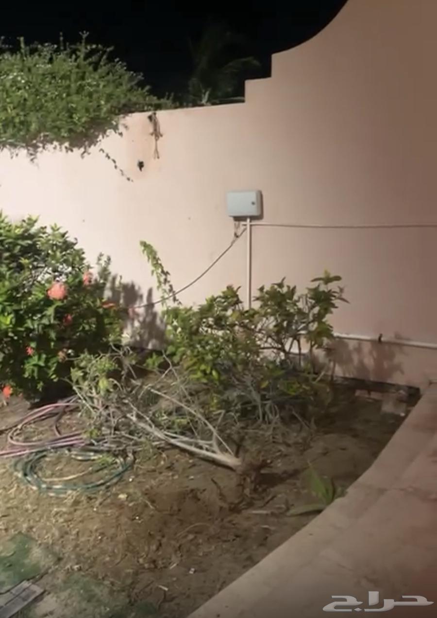 ثيل طبيعي نجيل مشروط ومضمون64146168743170114