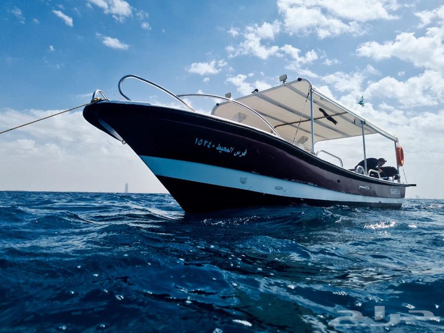 قارب هوري بوت للبيع نوعه الفردان64473639647619113