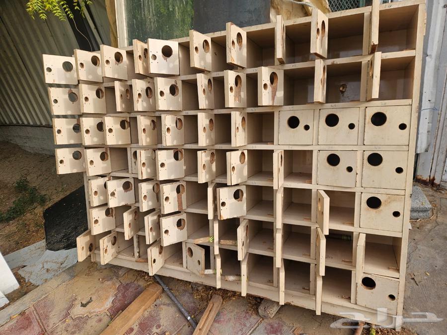 أعشاش طيور للبيع64473917076611110