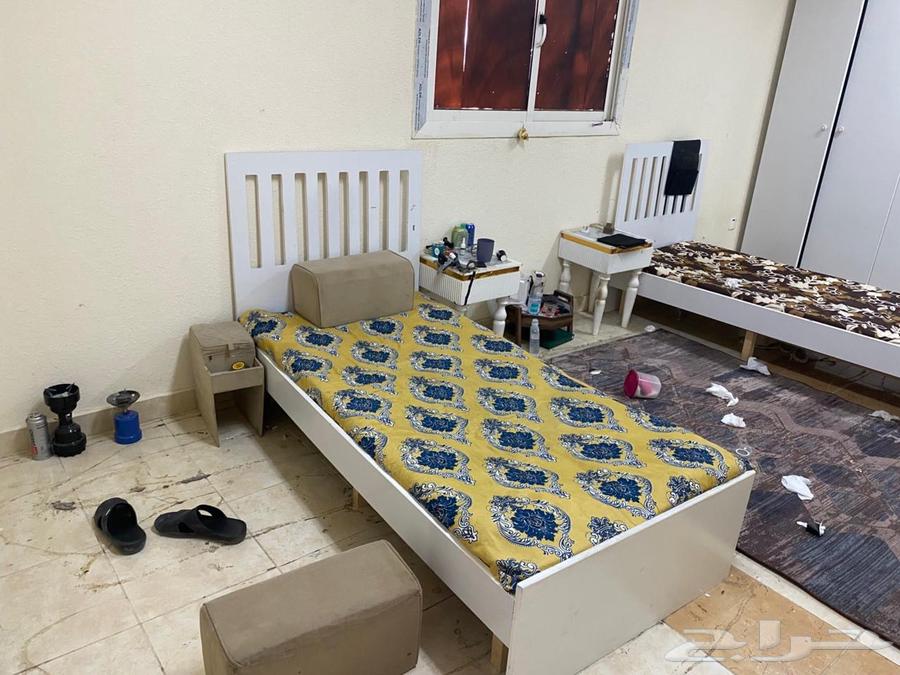 Everything is new64473725954435112