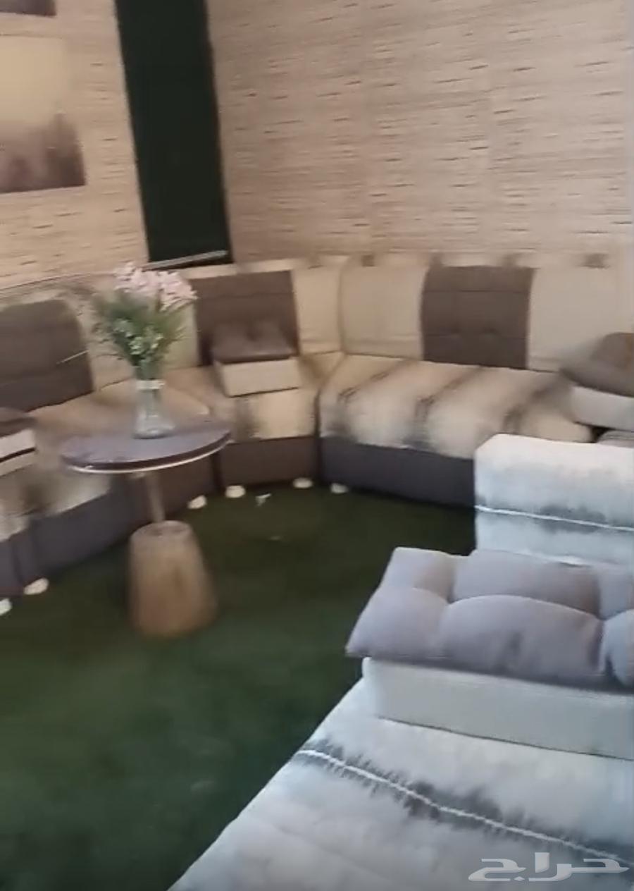Sofas64477297027457113