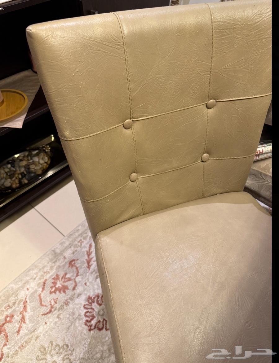 Home Center Dining Table Set with 8 Chairs64473121060866111