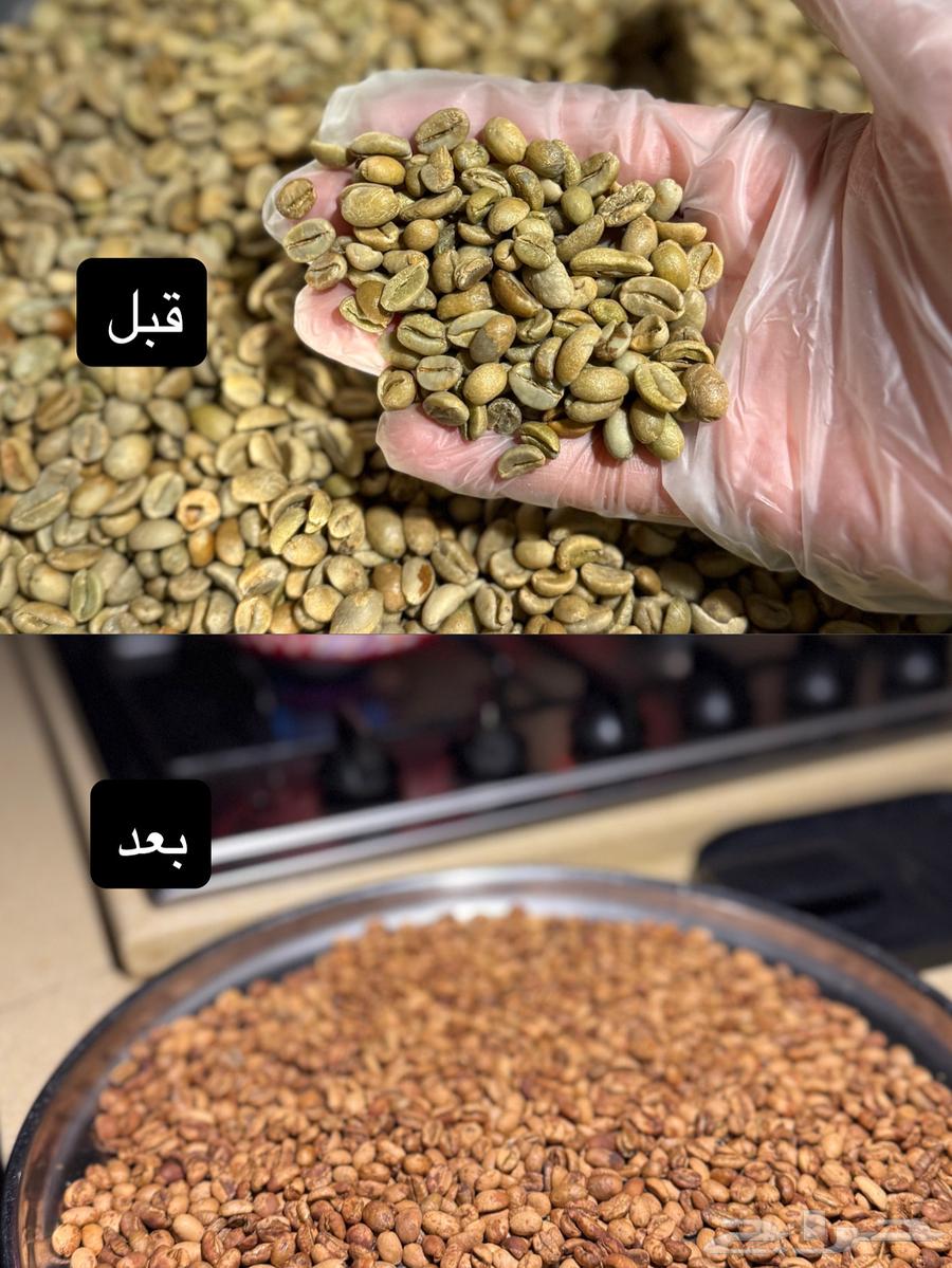 قهوة سعودية مختصة أنظفها من الصفر وشغل نظيف64472297455491114