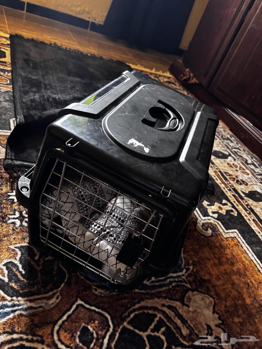 بيت لي البسه و صحن اكل و مويه ولتر بوكس64474251618691111