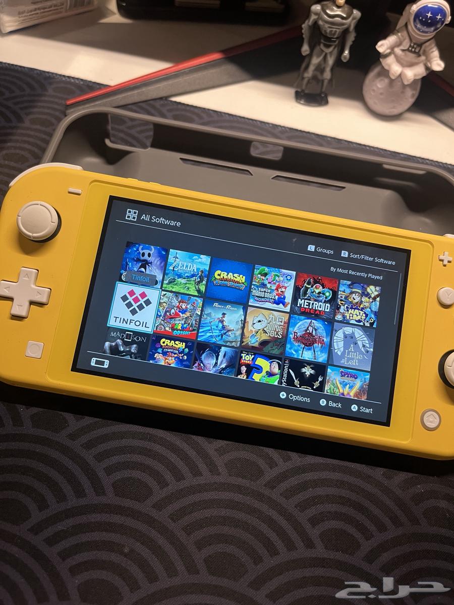 Nintendo Switch Lite Modified64473694653187113