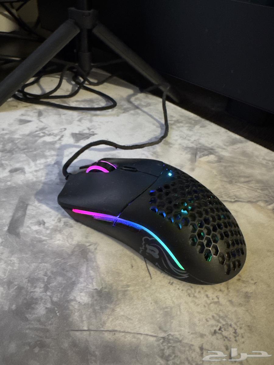 Gloris O- Mouse64476810654083111