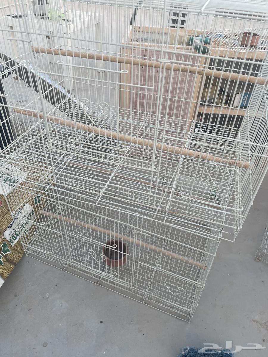Cages for sale in excellent condition64469865045379114