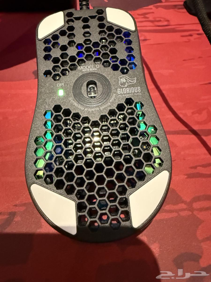 Gloris Mouse64474987894146111