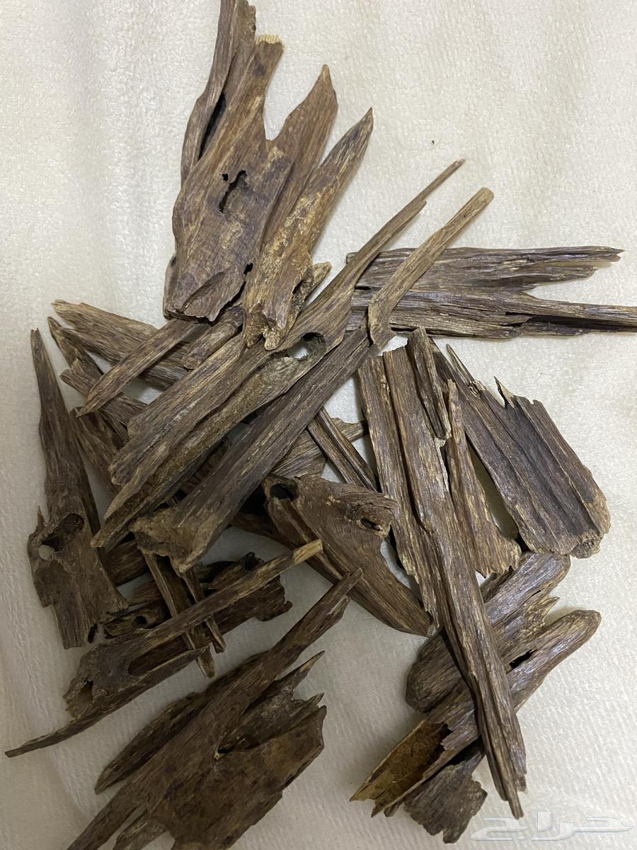 عود هندي زورا سوبر للبيع64476587580163111