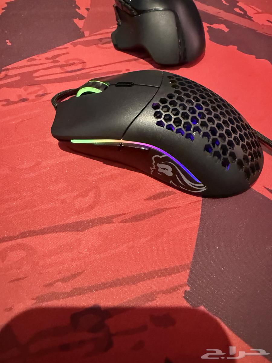 Gloris Mouse64474987894146112