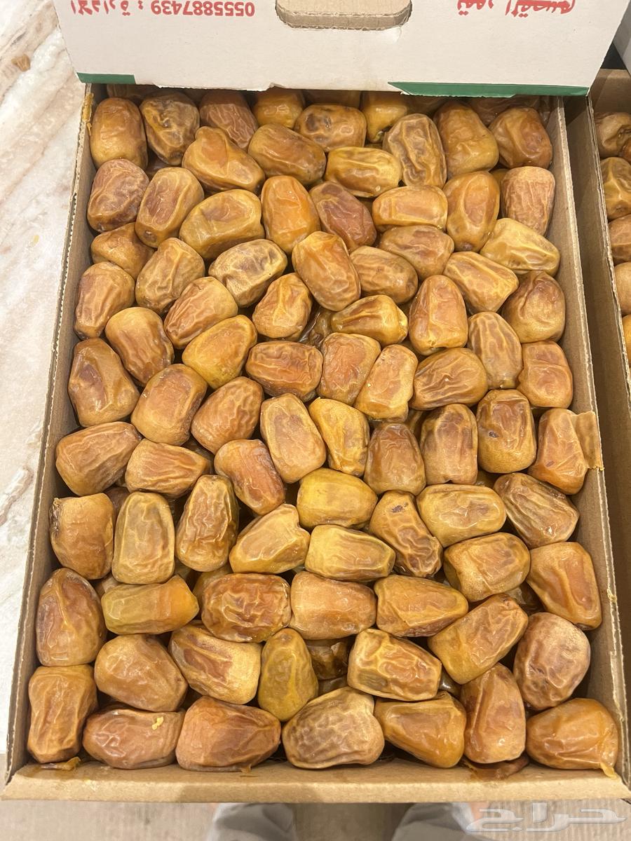 First-grade soft Sukkari dates64472429431426110