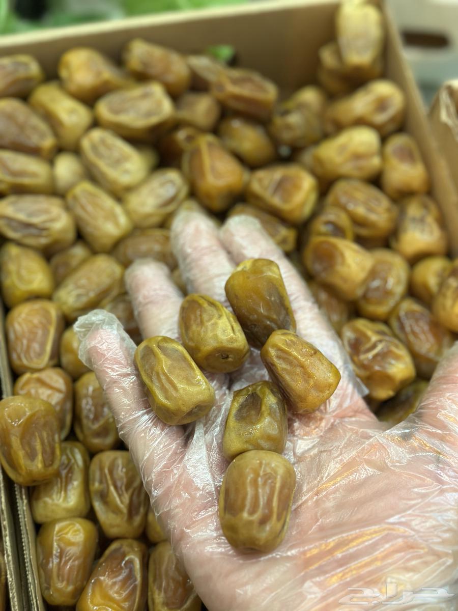 سكري القصيم من المزرعة مباشرة رقم واحد حبه كبيرة مميز64478388708099111