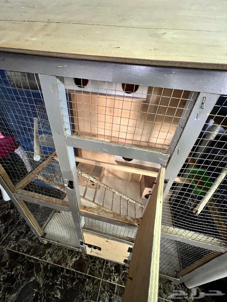 قفص طيور كبير64475584480003113