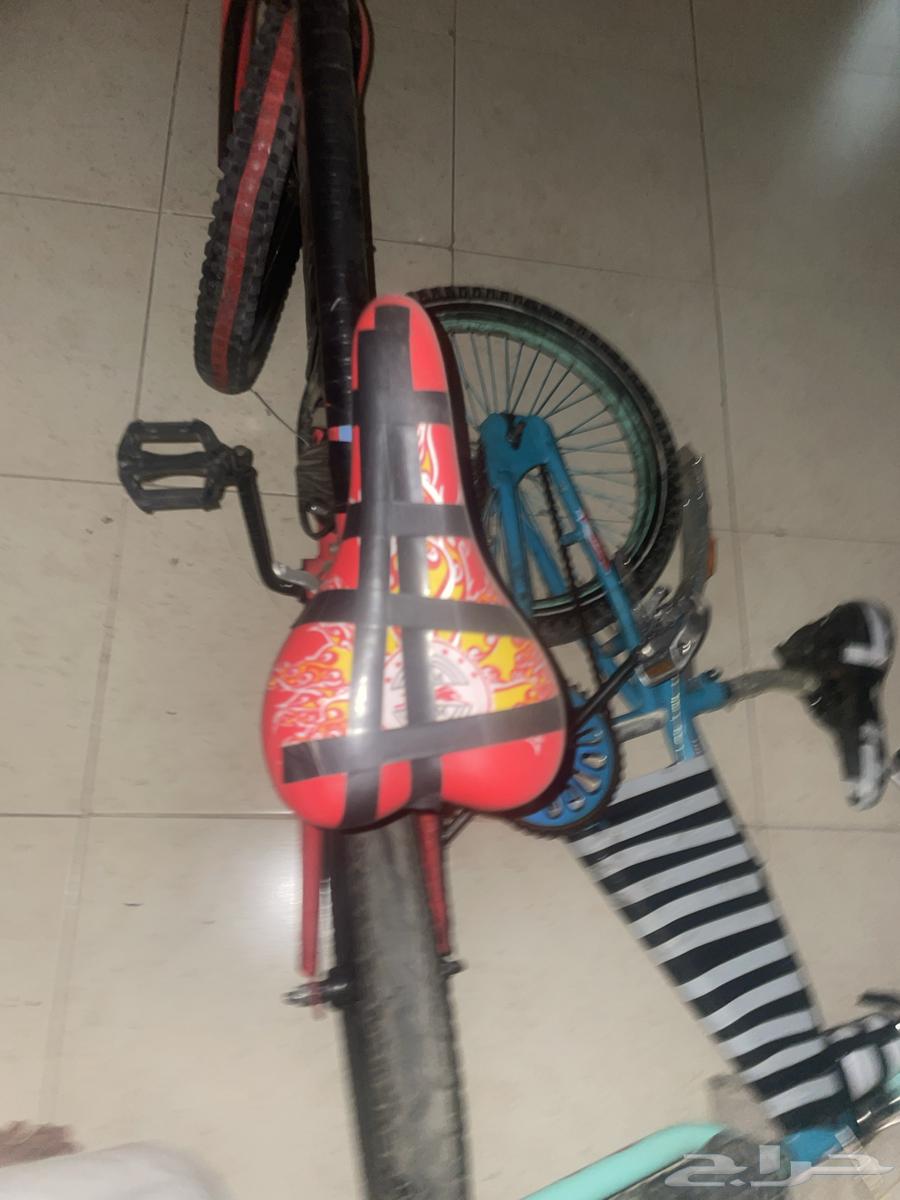 Modified red and light blue bicycle64476670910339113