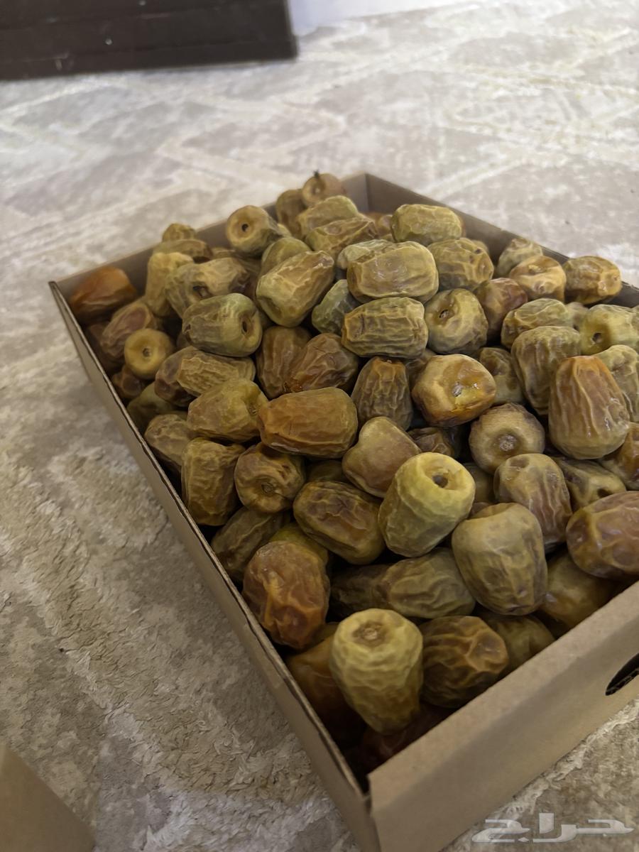 Sukkari and Aisha Dates from Aban64478553538433114