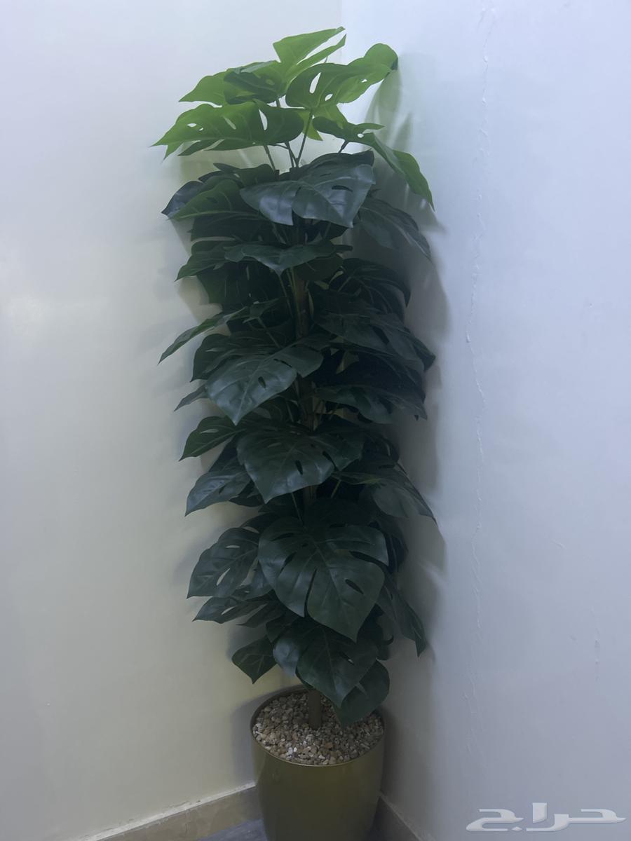 اغراض للبيع نضيفه جديده64473966315779110