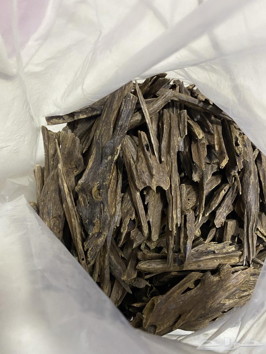 عود هندي زورا سوبر للبيع64476587580163110