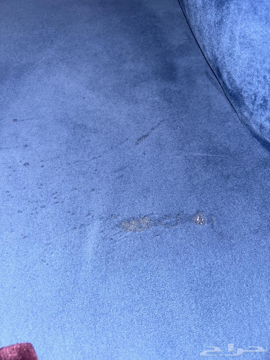 Sofa64472380490242113