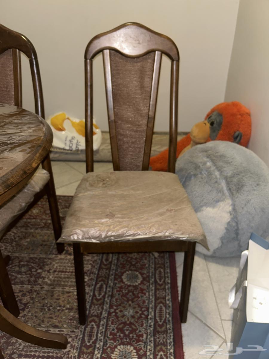 طاوله خشب سته اشخاص64476559289346112