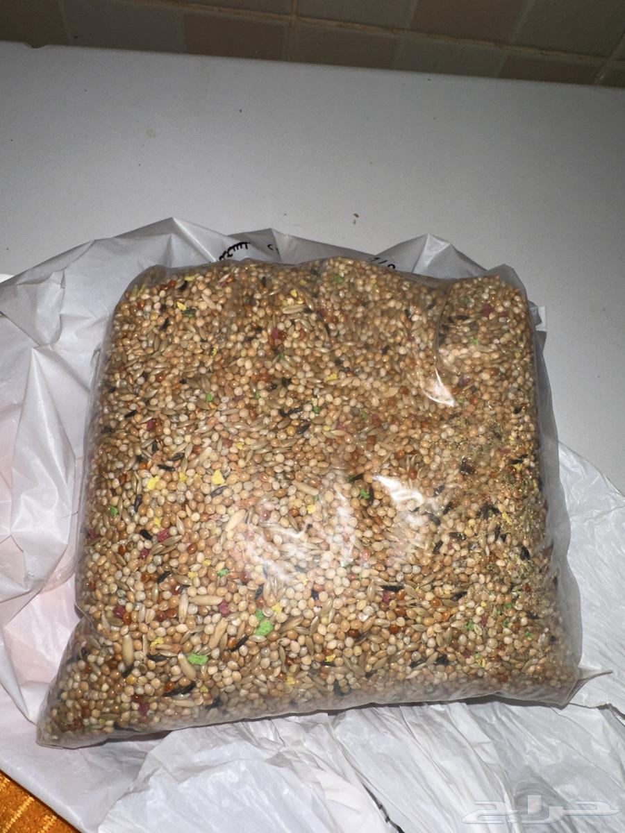 عصافير للبيع64434374022274112