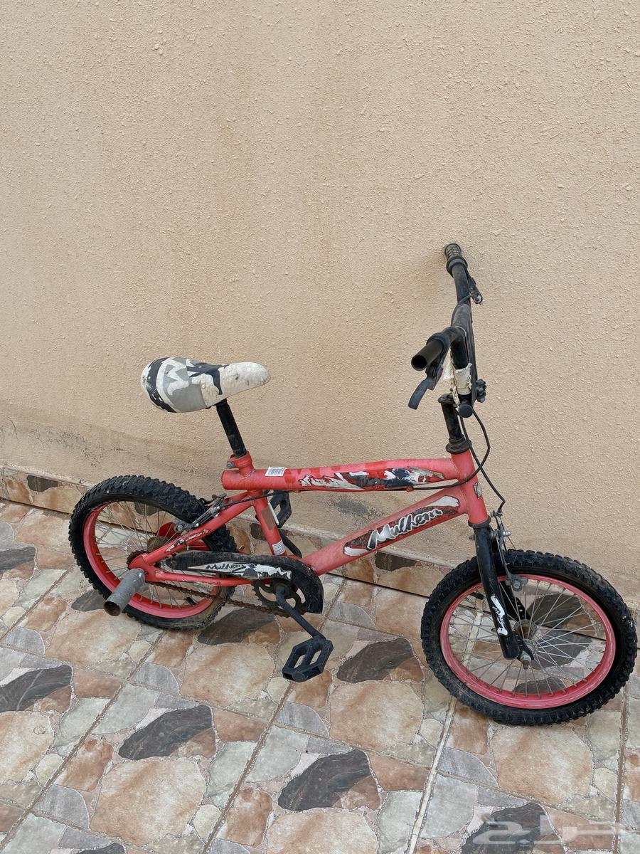 سيكل للبيع ما يشكي من شي64476086193795110