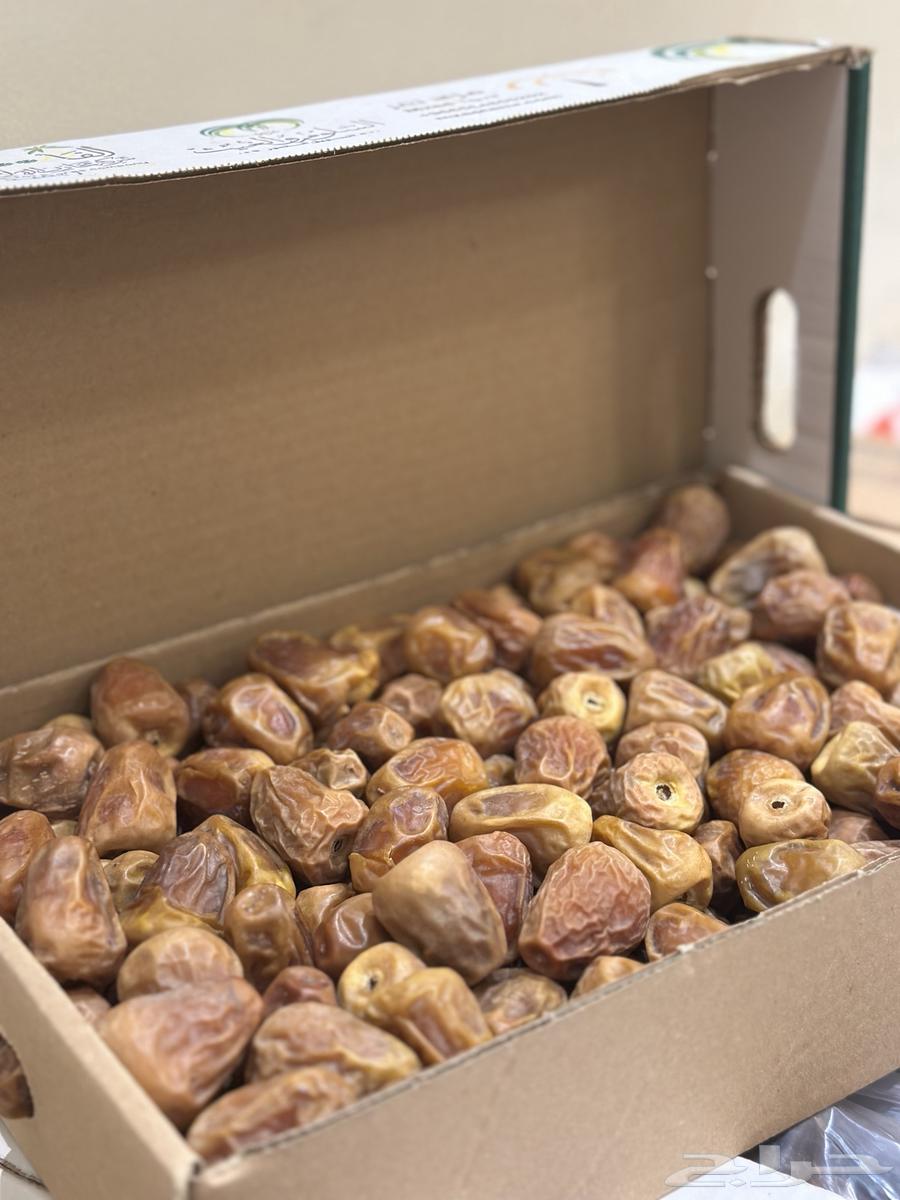 Tamr Sukkari Mafatil64477769550211113